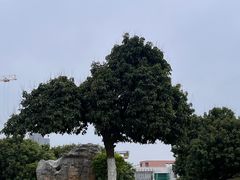 -红花山公园