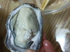 -爱蚝屋