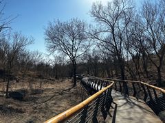 -白水寺森林公园