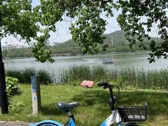 -东湖听涛景区