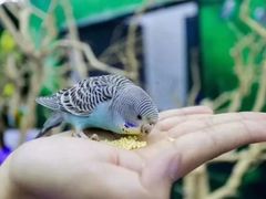 -昆明大悦城未来动物城(螺蛳湾中心店)