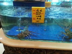 -友鹏海鲜(新宜白大道店)