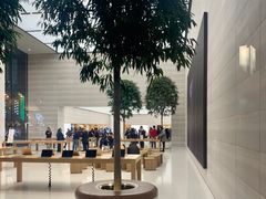 -Apple零售店(济南恒隆广场店)