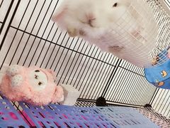 -雨林宠物医院 非犬猫异宠专科