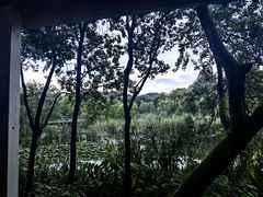 -西湖风景区-江洋畈生态公园