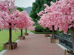 -汇雅温泉