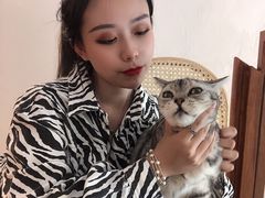 -猫友咖啡店(玉林西路店)
