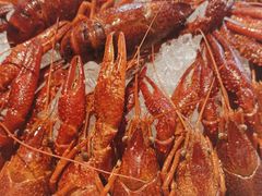 -舞虾小说.涮肉.烧烤(国顺东路店)