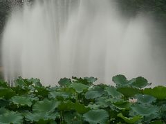 -龙头寺公园