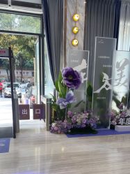 -深圳美莱医疗美容医院