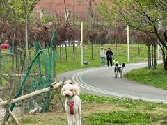 -帝京日语(春熙路旗舰校区)