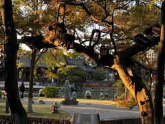 -江心屿景区