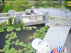 -广州国际生物岛