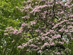 -北山街历史文化街区