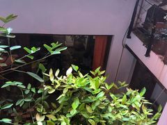 景观位-Cuc Gach Quan Restaurant