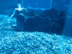 -海棠湾洲际-涛·海底餐厅·龙虾·牛排·美人鱼