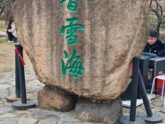 -香雪海