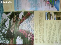 -金孔雀温泉旅游度假村