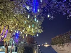 -扬州古运河