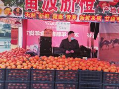 -麦德龙(青羊店)