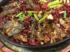 -老板恋上鱼(振华商厦店)