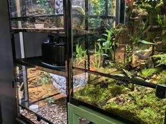 -FAIRYLAND龙族星球主题餐厅(凯丹广场店)