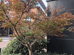 -龙盛活力小镇
