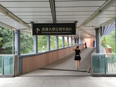 -香港大学