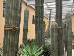 -正佳雨林生态植物园