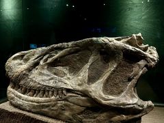 -自贡恐龙博物馆