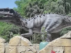 -将军关探险漂流