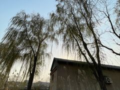 -三里河公园