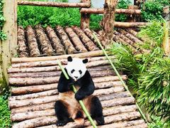 -黔灵山公园