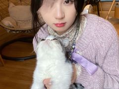 -滚猫咖啡·猫咖·猫友好撸猫(未来城店)
