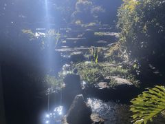-腾冲洞山温泉村