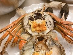 -黄记大闸蟹专卖店·活蟹·醉蟹