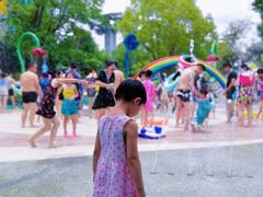 -苏州乐园森林水世界