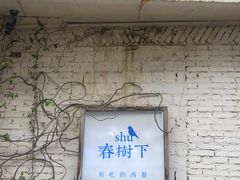 -春树下·树屋花房西餐厅(罍街AS1980店)
