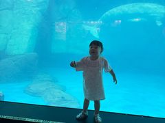 -海合安武汉极地海洋公园