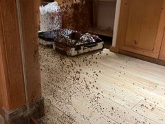 -秦皇岛阿尔卡迪亚滨海度假酒店