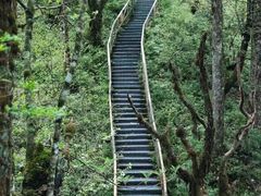 -龙苍沟森林公园