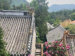 -潭柘寺景区