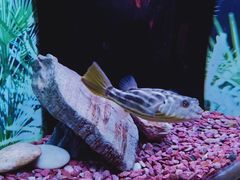 -上海海洋水族馆