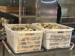 -九号温泉生活馆