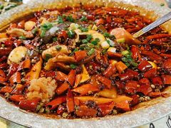 -青城甲(青城山店)