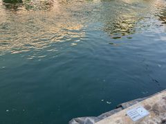 -DGE季风钓虾营地·团建·聚会