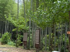 -黄公望隐居地