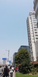 -中国福利会国际和平妇幼保健院(徐汇院区)