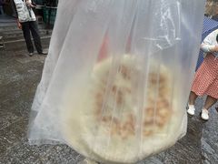 -眼镜粑粑