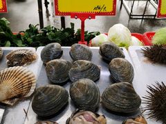 -蚝专家(北滘店)
